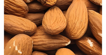 Calif. US Almonds Shelled INDY 22,68Kg cartons
