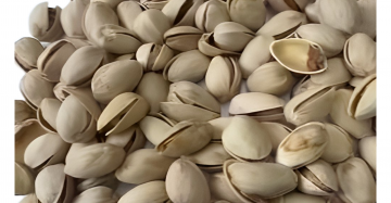 Usa pistache (in shell)20-22 10Kg cartons
