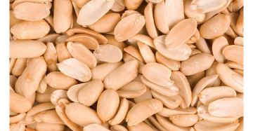Blanched peanut halves x10kg