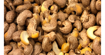 Cashew with skin, roasted & salted x10Kg cartons