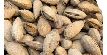Mandel in Schale Roasted & Salted 5Kg cartons