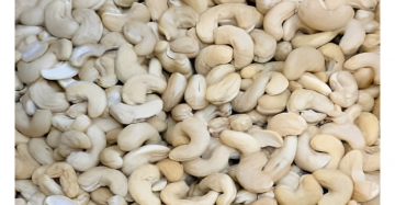 Cashew WW240x22,68Kg cartons