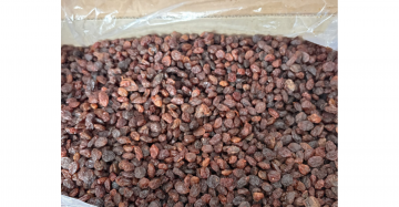 Black raisins 1X5KG